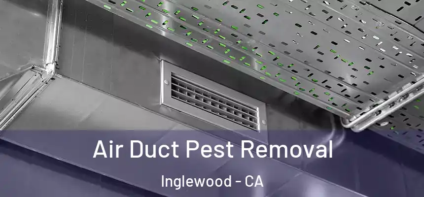 Air Duct Pest Removal Inglewood - CA