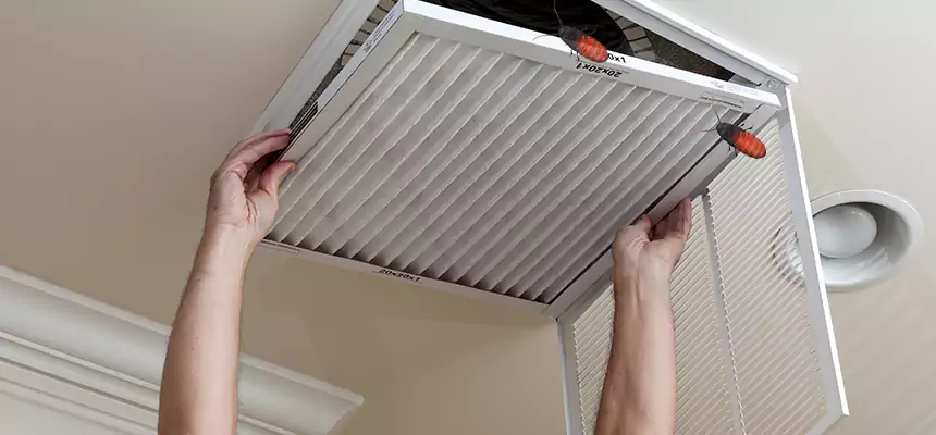Preventive Cockroach-Proofing for Ducts in Inglewood