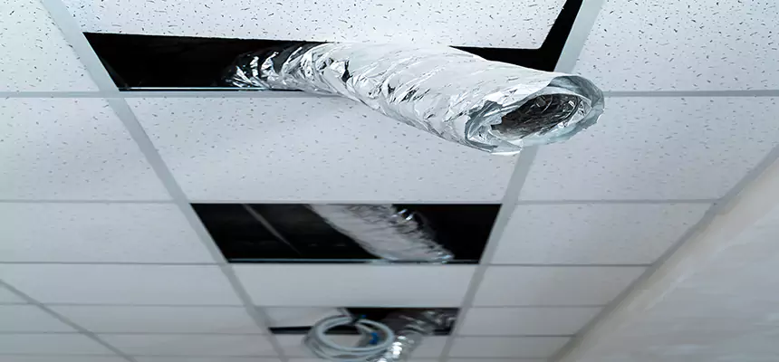 Our Air Duct Pet Hair Removal Services in Inglewood, CA