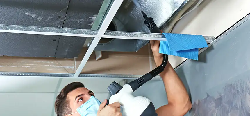 Our Air Duct Rodent Removal Services in Inglewood, CA