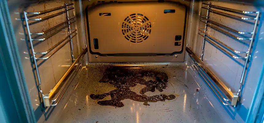 Our Dryer Vent Mold Cleaning Services in Inglewood, CA