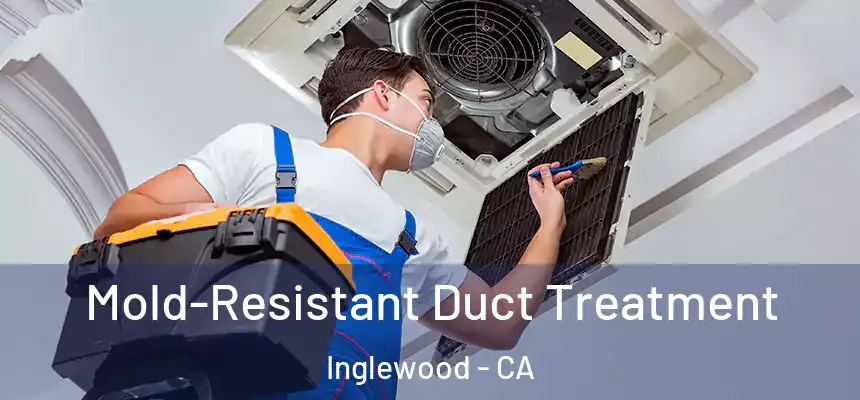 Mold-Resistant Duct Treatment Inglewood - CA