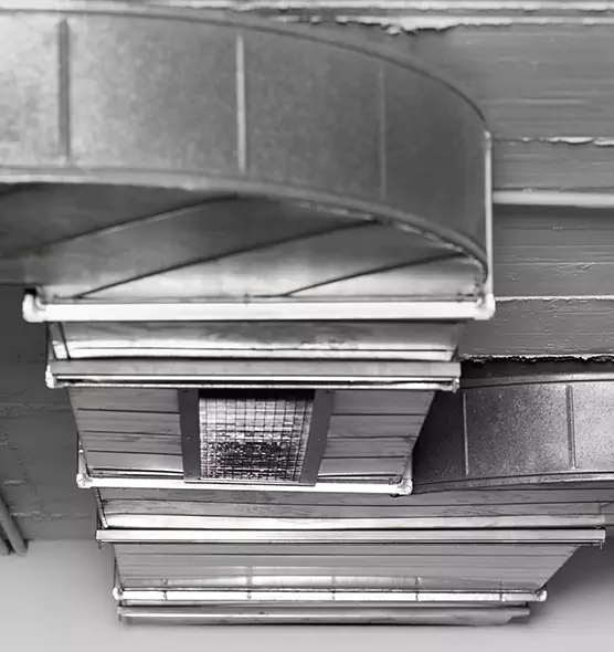 Professional Air Duct Pest Removal in Inglewood, CA