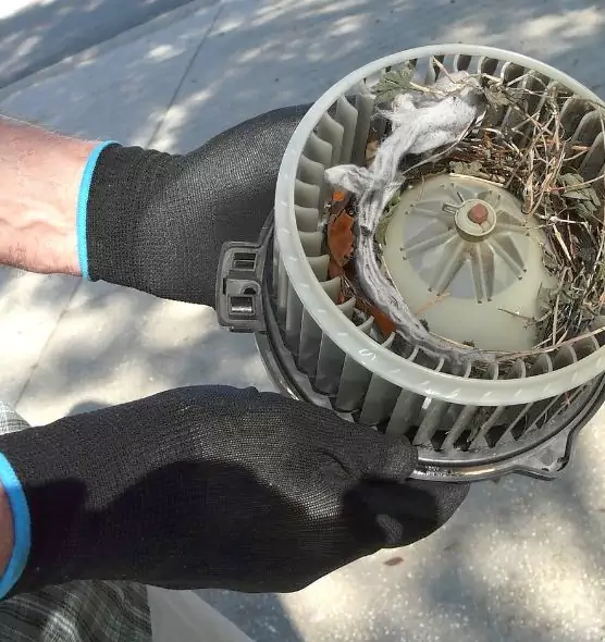 About Air Duct Rat Removal in Inglewood, CA