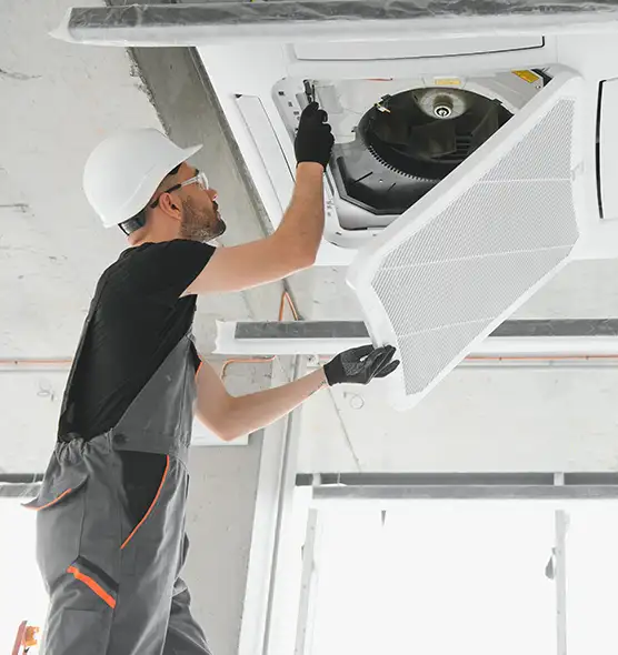 About Air Duct Rodent Removal in Inglewood, CA