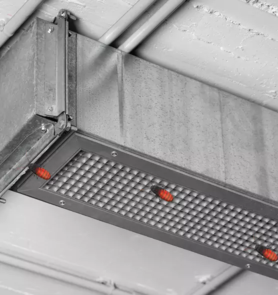 Affordable Insect Removal from Air Ducts in Inglewood, CA