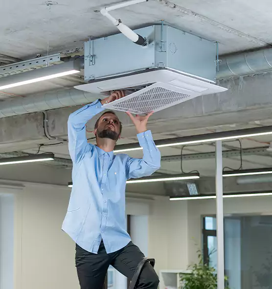 Advanced Rodent Droppings In Vents in Inglewood, CA