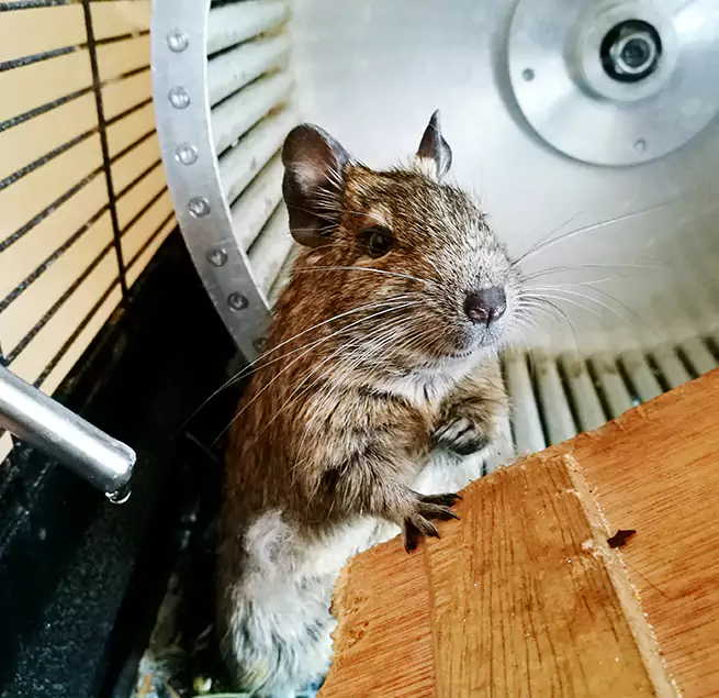 Why Homeowners & Businesses Trust Us Inglewood, CA