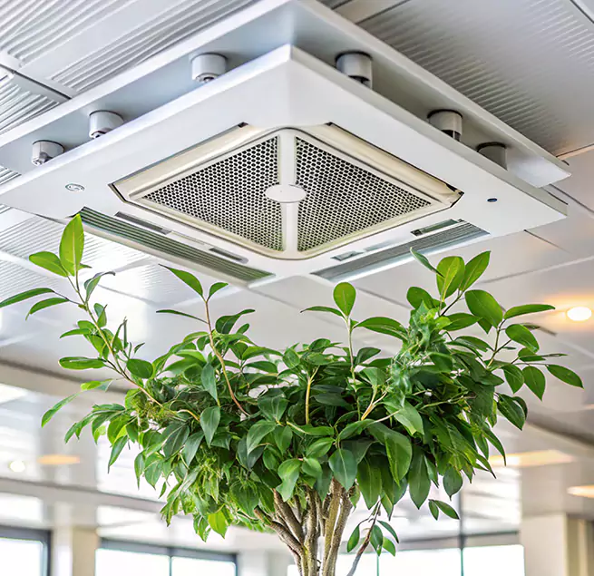 Why Homeowners & Businesses Trust Us in Inglewood, CA?