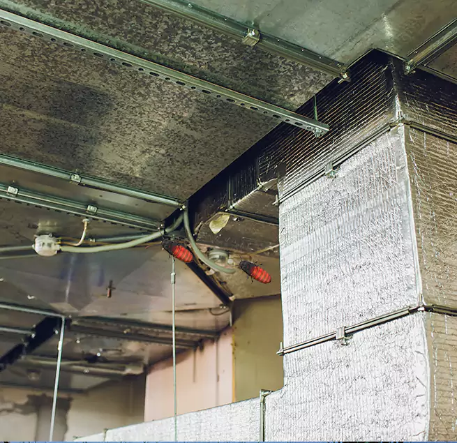 Why Homeowners & Businesses Trust Us Inglewood, CA?