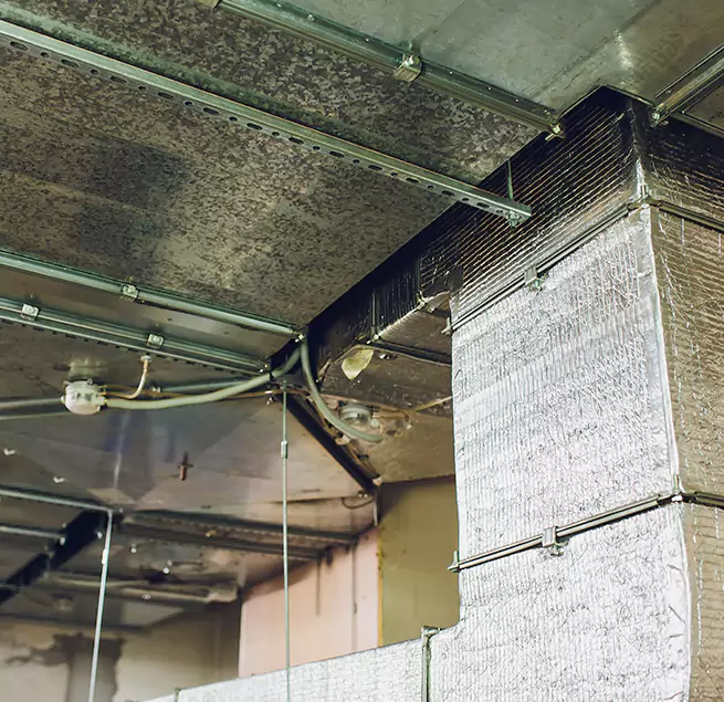 Why Homeowners & Businesses Trust Us in Inglewood, CA?